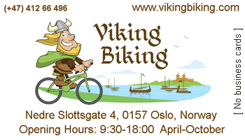 Viking Biking